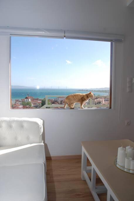 360ᵒ Lepanto Apartment 나프팍토스 외부 사진