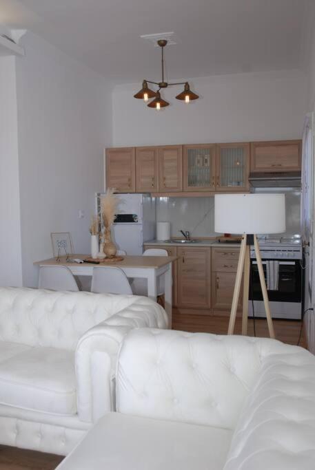 360ᵒ Lepanto Apartment 나프팍토스 외부 사진