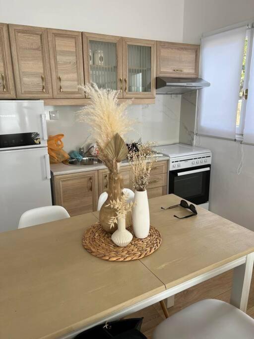 360ᵒ Lepanto Apartment 나프팍토스 외부 사진
